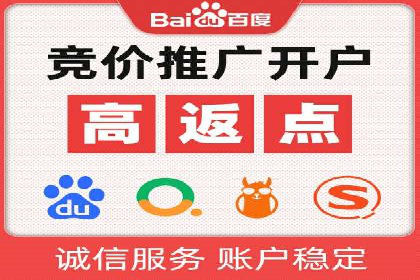 竞价广告策略案例分析